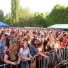 majales2011064