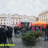 _DSC9916