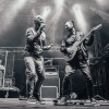 IMG_5336